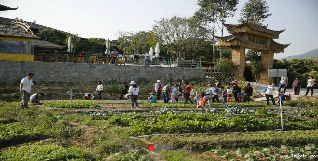 春暖花开,我们去春游!