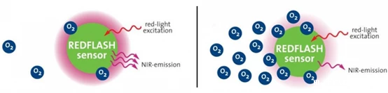 光学与电化学氧传感器技术有什么不同，光学与电化学氧传感器的功能优势？